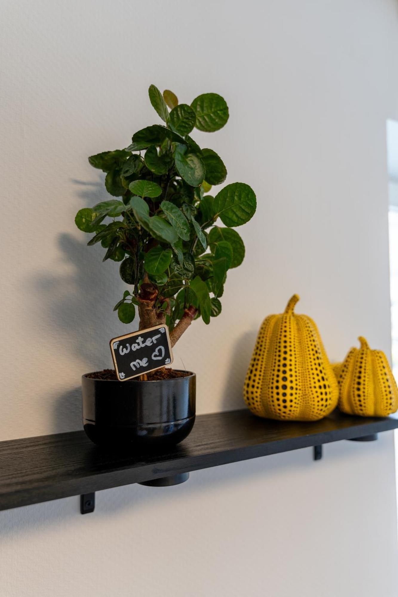 Holideis - Art-Apartment - 3Min To Monschau - Big Terrace - 2 Bedrooms 외부 사진